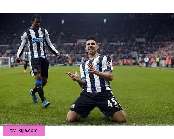 纽卡冬窗引援停滞 盼多能后卫加盟 纽卡冬窗引援停滞 盼多能后卫加盟