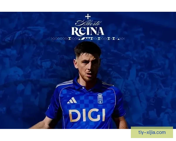 佩莱格里诺贝尔纳韦首发 奥尔班鲍伊出战